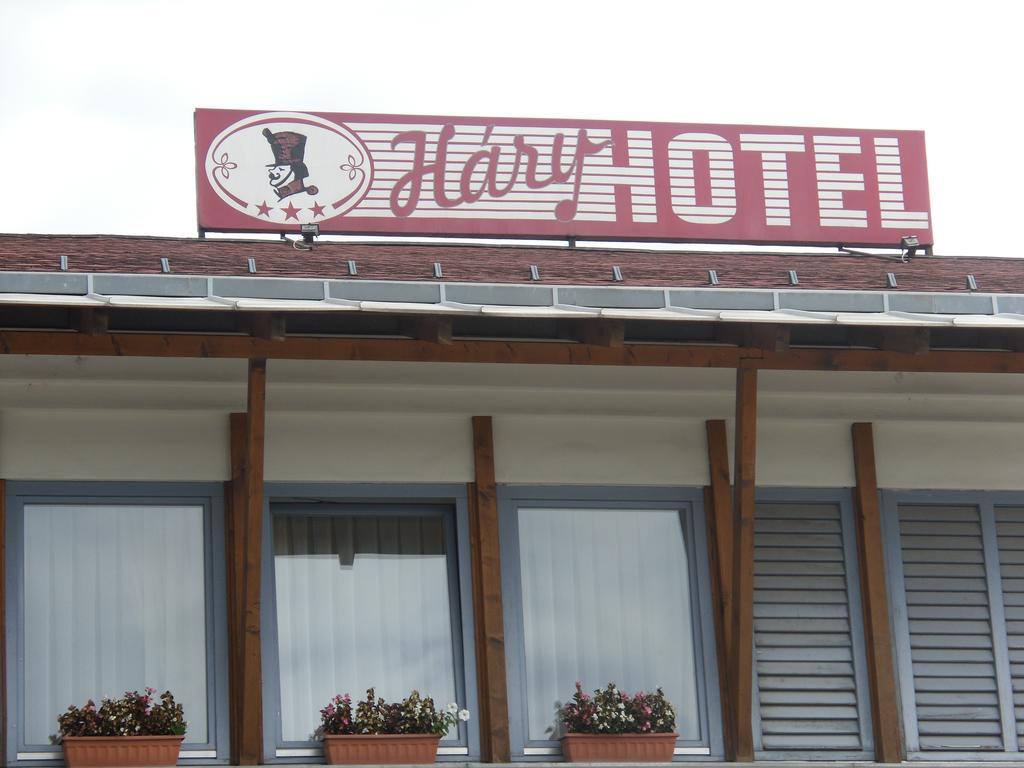 Hary Hotel ケチケメート エクステリア 写真